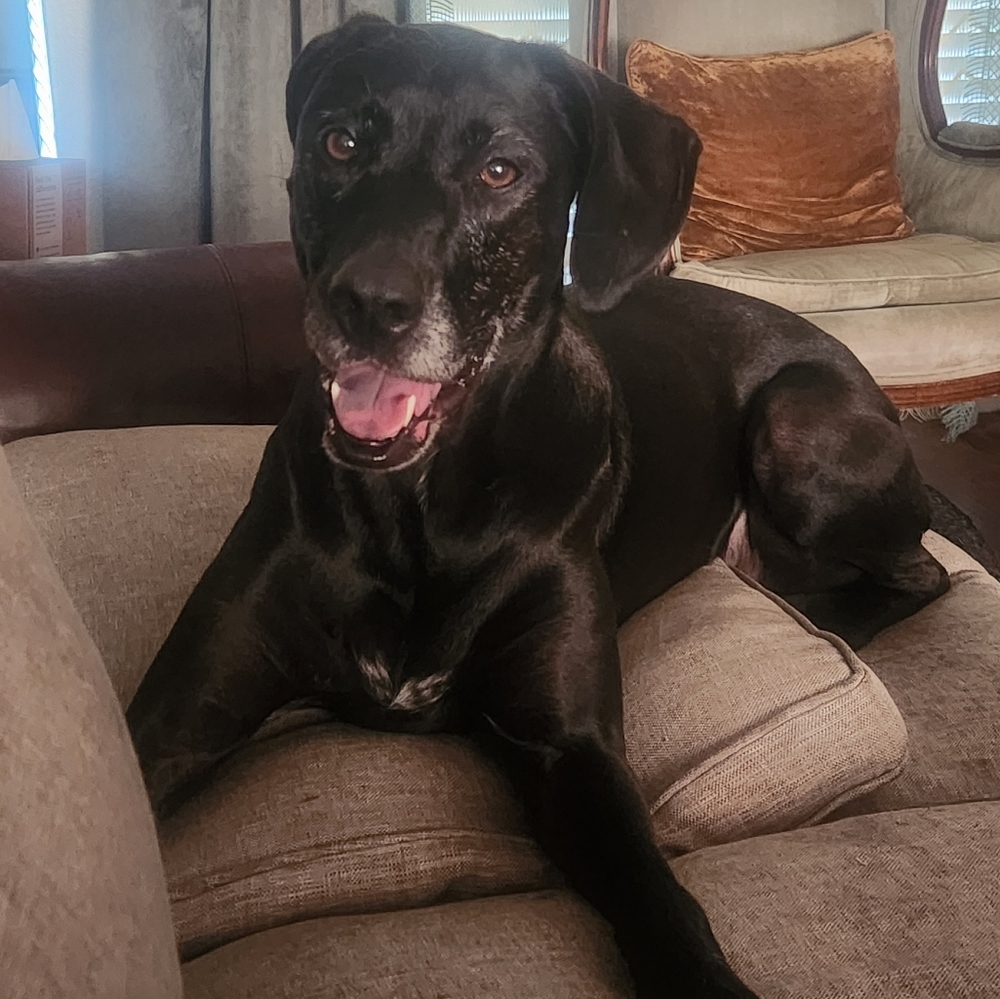 Meet your Posher, Mary